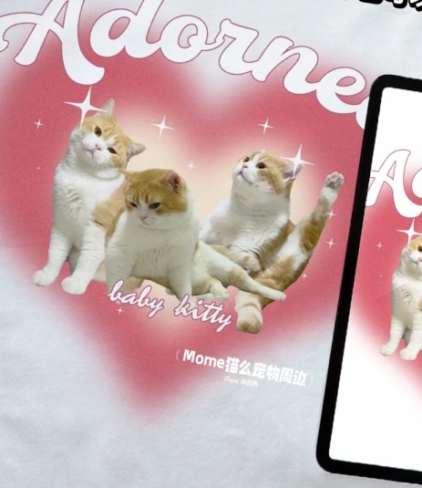 -甜蜜暴击-爱心猫咪T恤定制上线啦